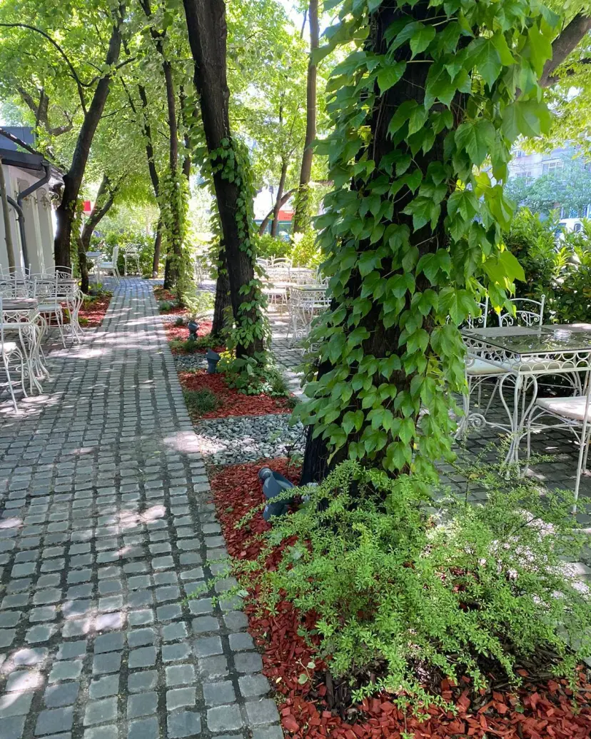 https://honeypot0.s3.amazonaws.com/1700901478783-gallery-HANUL%20DRUMETULUI%20%287%29.webp