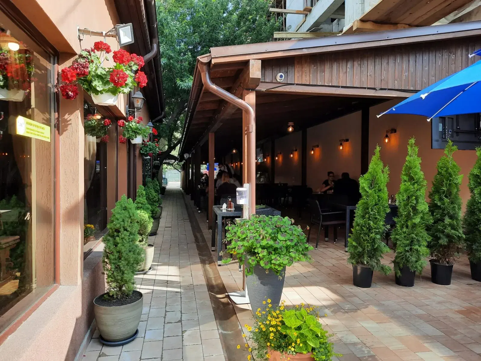 Restaurantul Elena